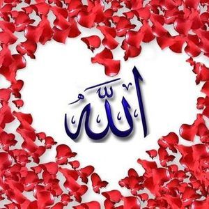 Meet your Posher, Nafisa